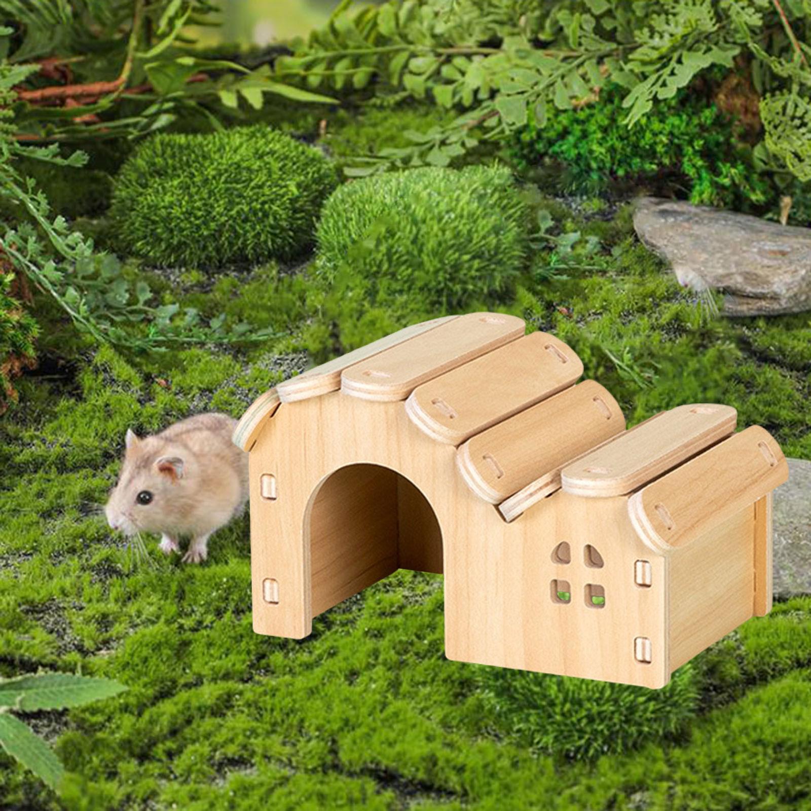 Insect Hotel Wood - Casa de madeira para hamster, gabinete
