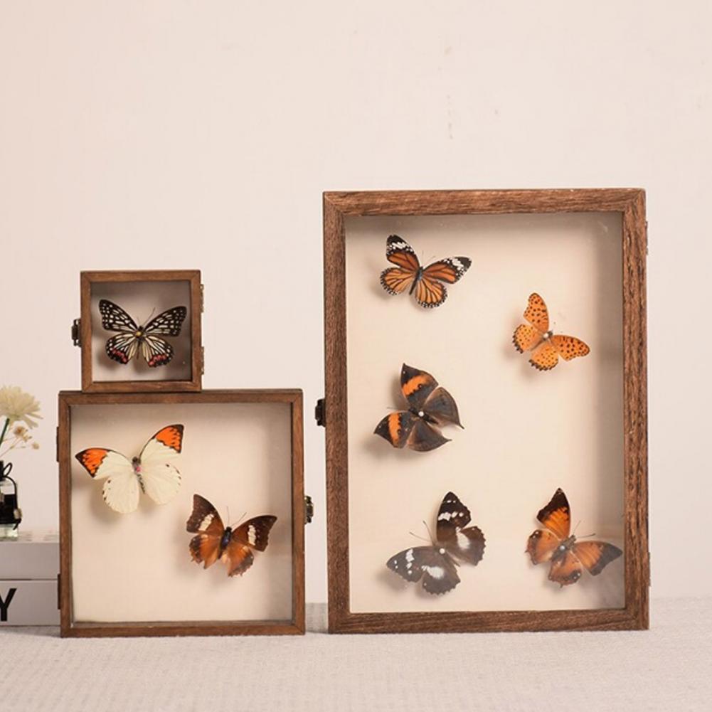 Insect Hotel Wood - Vitrine de madeira borboleta sombra caixa