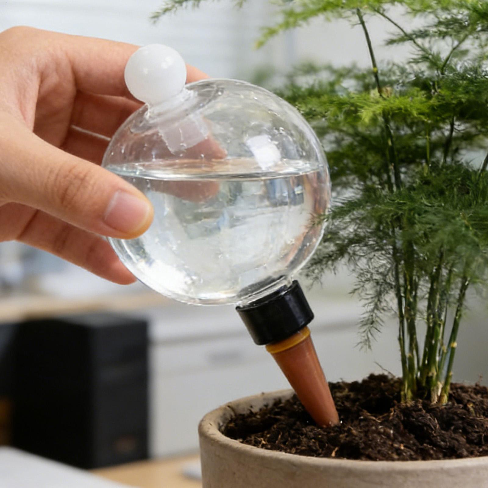 Plant Watering Globe - 4 Peças de Globos Plásticos Automáticos