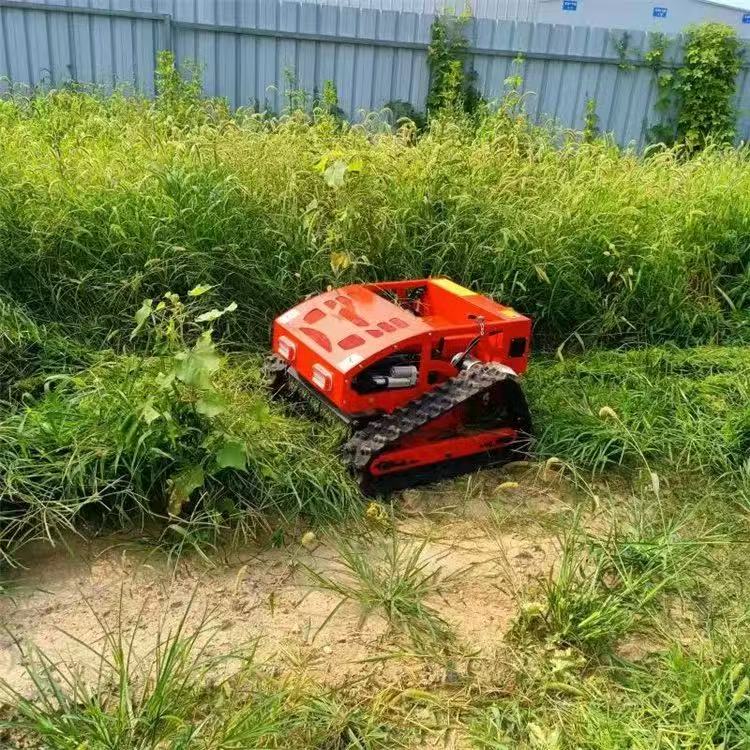 Roçadeira Inteligente Robótica - Smart Garden Trimmer avaliação e preço