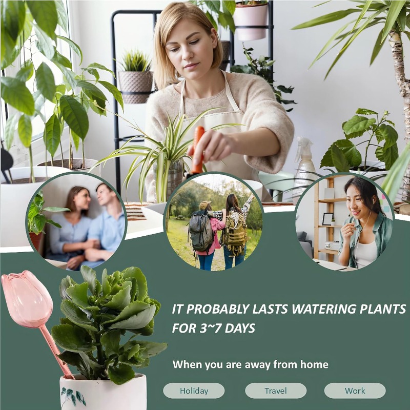 Bolas de Rega para Plantas Tul - Plant Watering Globe avaliação e preço