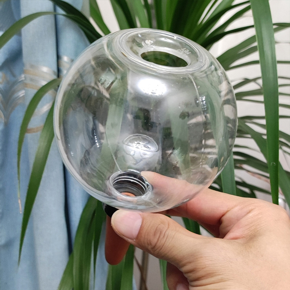 Globos de Autoirrigação de 500 - Plant Watering Globe avaliação e preço