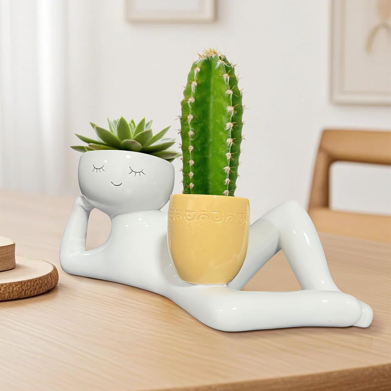 Vaso de Plantas Divertido Lazy - Smart Garden In Home avaliação e preço