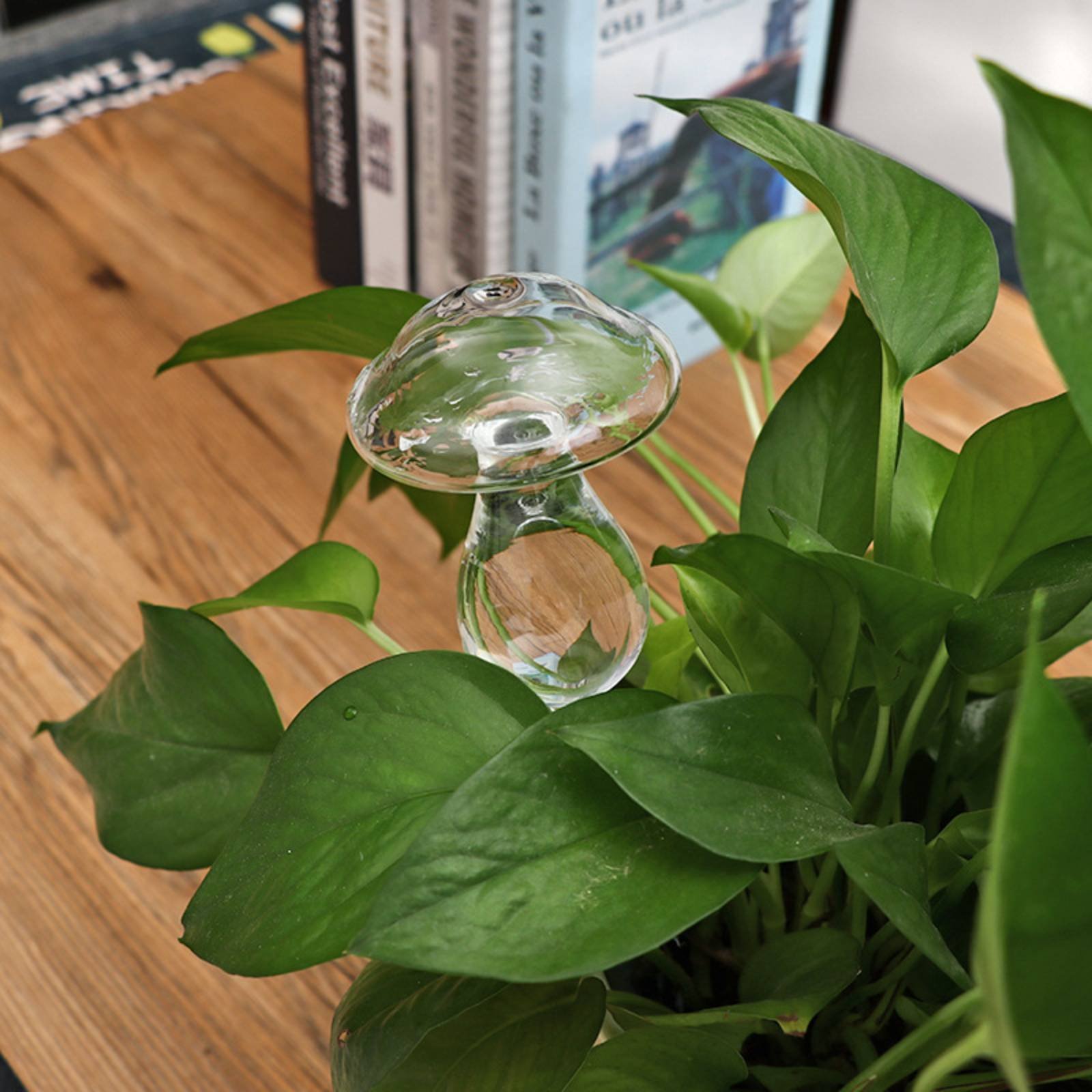 Globo de Rega Automática para  - Plant Watering Globe avaliação e preço