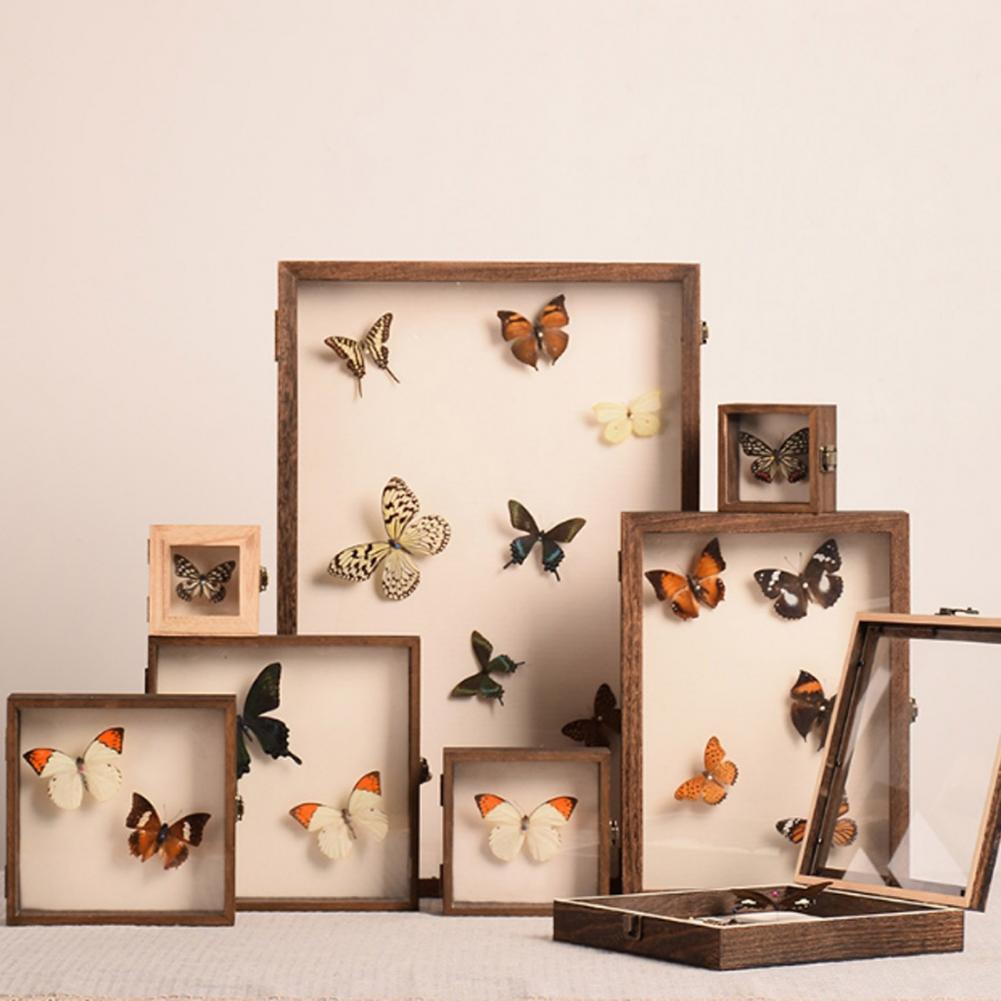 Vitrine de madeira borboleta s - Insect Hotel Wood avaliação e preço