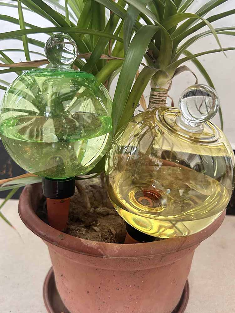 Globos de Rega Automática 500M - Plant Watering Globe avaliação e preço