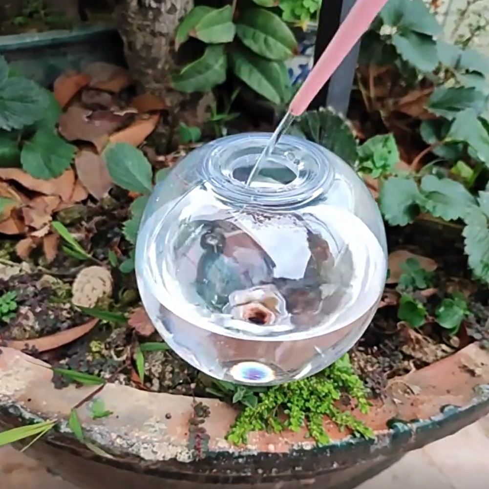 Globos de Irrigação Automática - Plant Watering Globe avaliação e preço