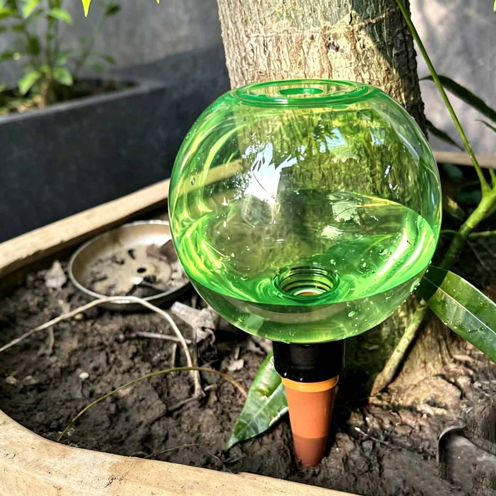 Bolas de Rega Automáticas 1/4p - Plant Watering Globe avaliação e preço