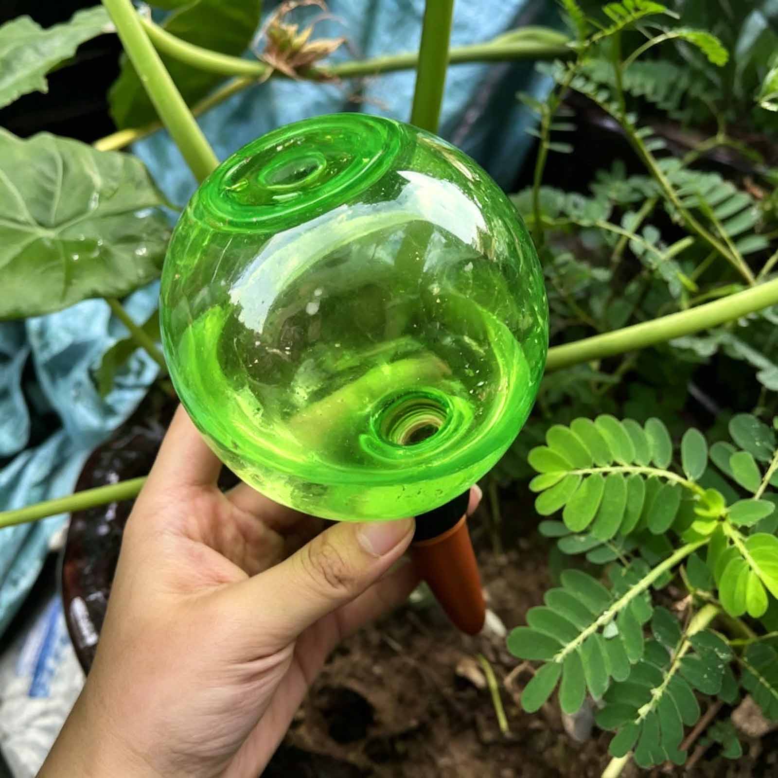 1/4 peças Globos de Autoirriga - Plant Watering Globe avaliação e preço