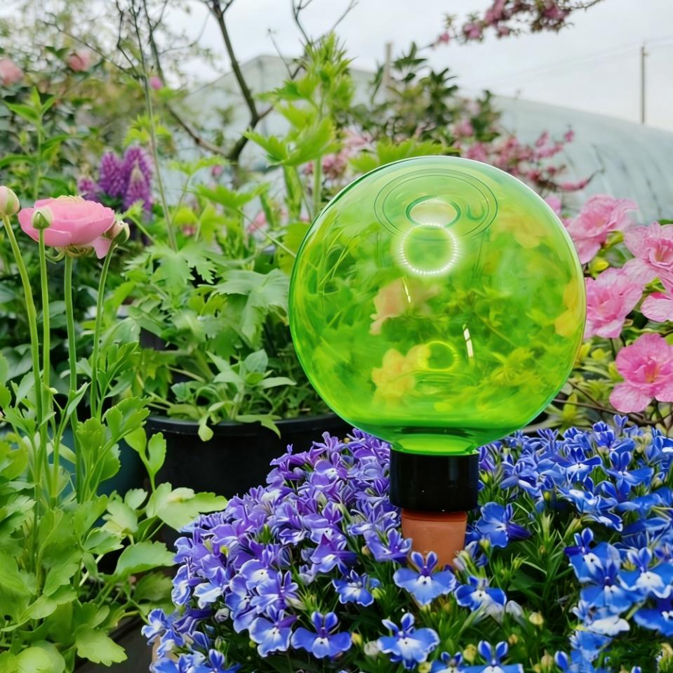 3 Globos Grandes de Autoirriga - Plant Watering Globe avaliação e preço