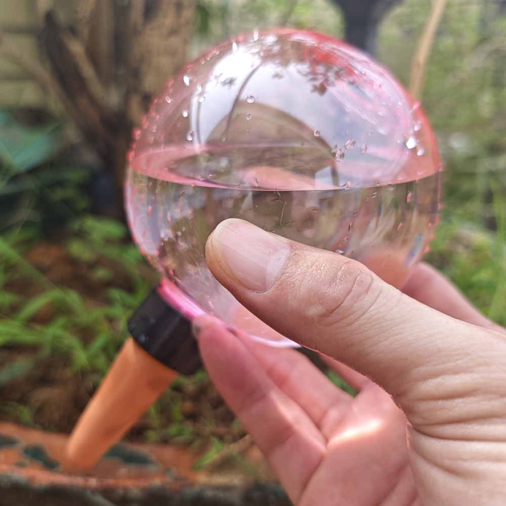 1/4 peças Globos de Autoirriga - Plant Watering Globe avaliação e preço
