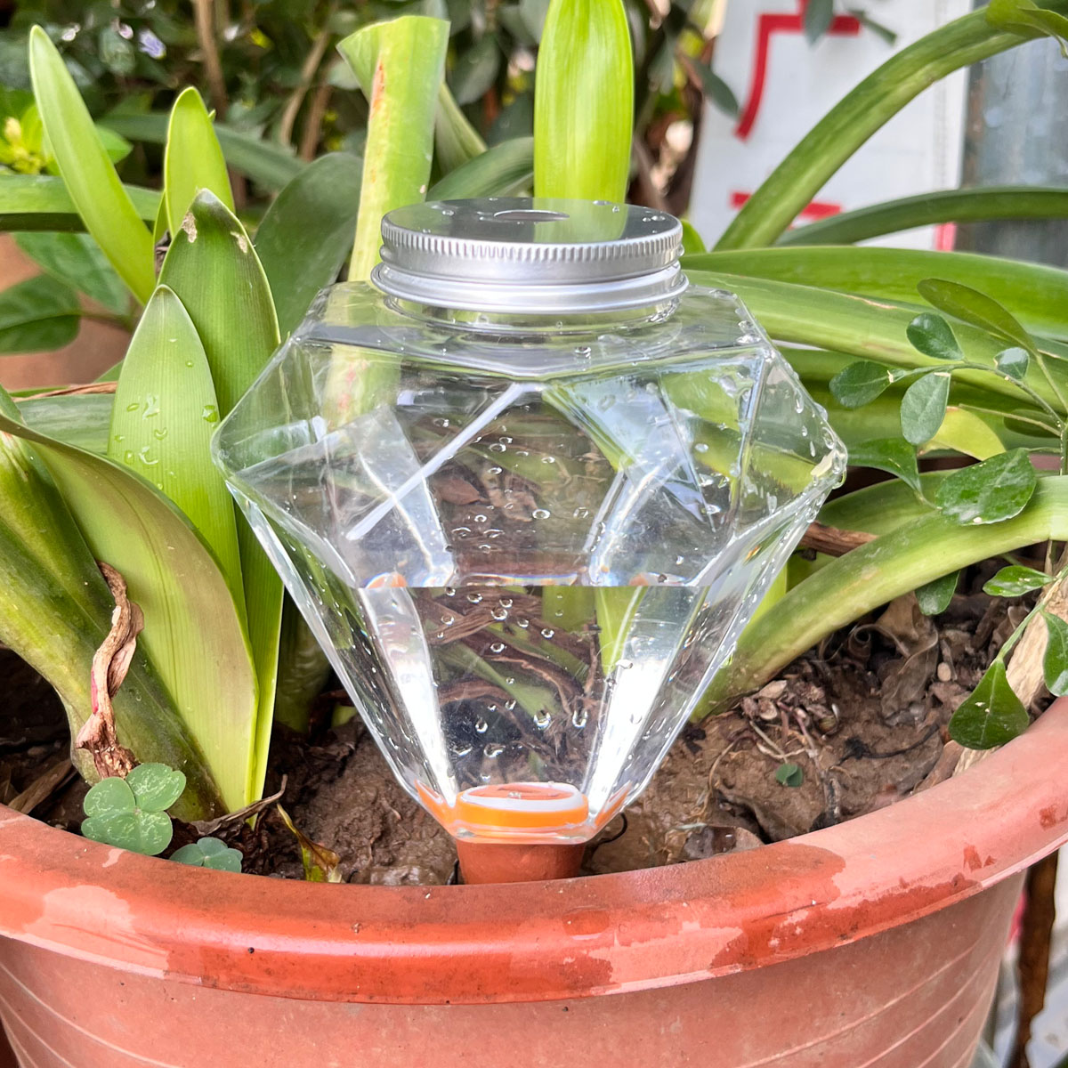 1 unidade de Gotejador Automát - Plant Watering Globe avaliação e preço