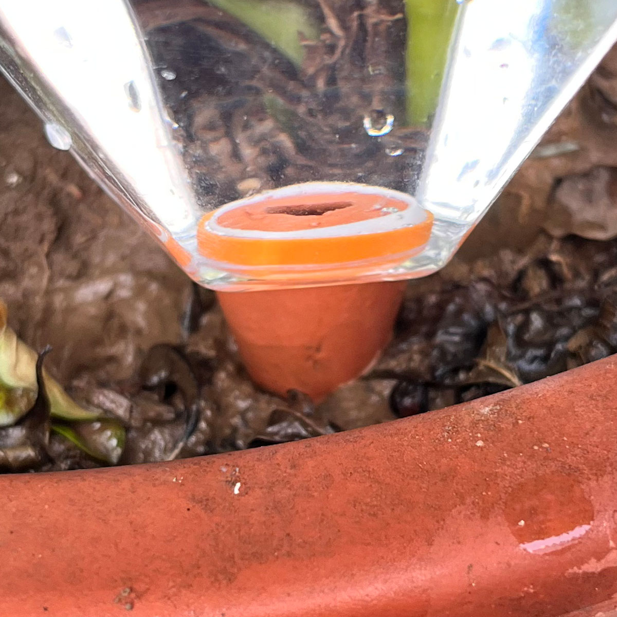 1 unidade de Gotejador Automát - Plant Watering Globe avaliação e preço