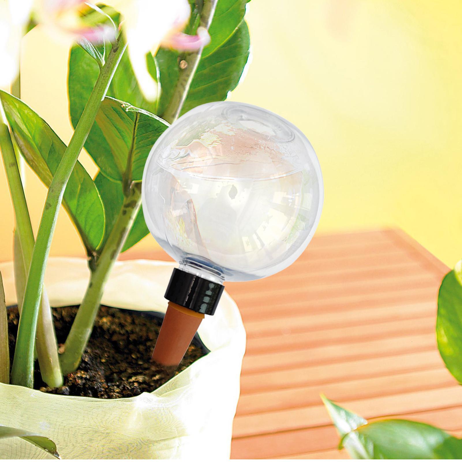 Lâmpadas automáticas de rega d - Plant Watering Globe avaliação e preço