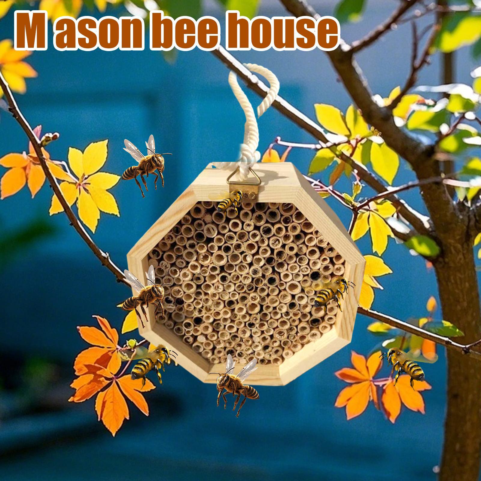 Casa de madeira para insetos,  - Insect Hotel Wood avaliação e preço