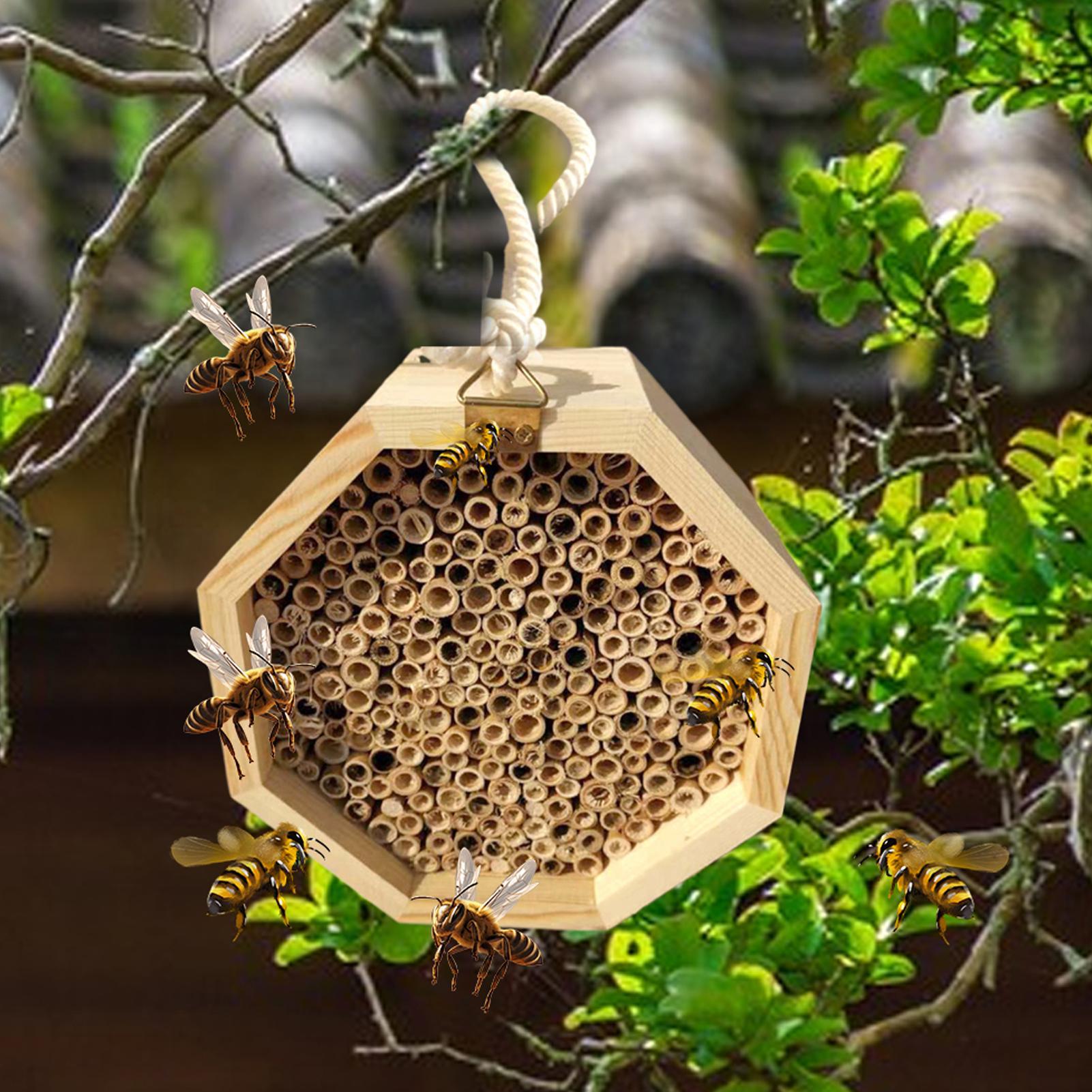 Casa de madeira para insetos,  - Insect Hotel Wood avaliação e preço