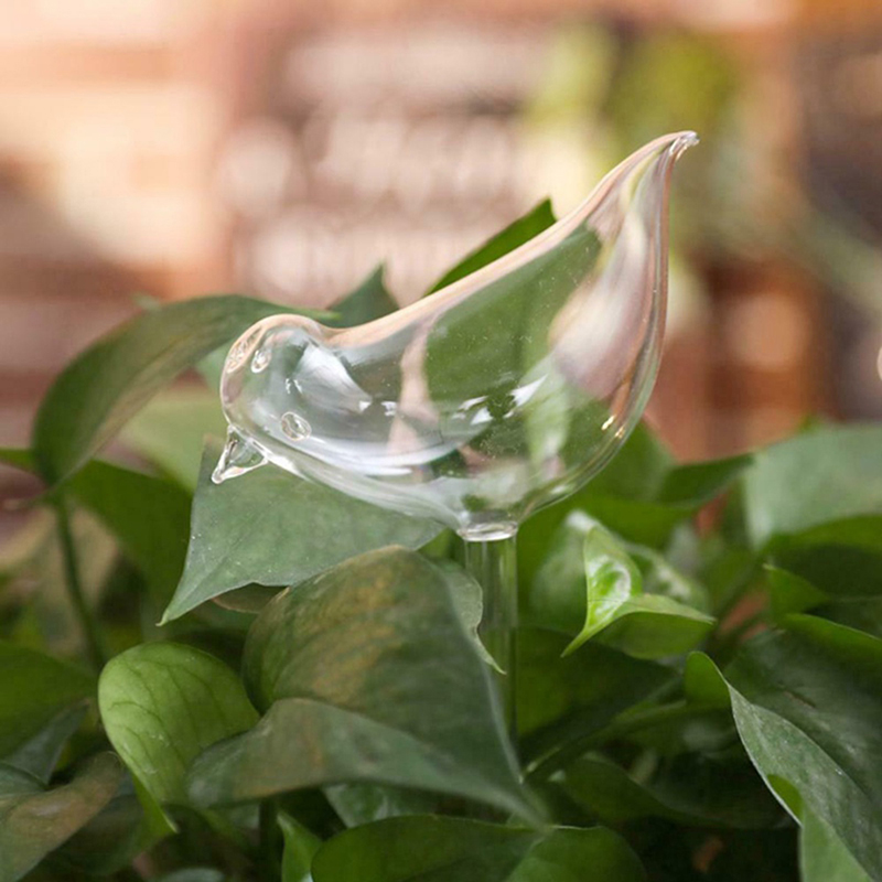 Globos de rega automática para - Plant Watering Globe avaliação e preço