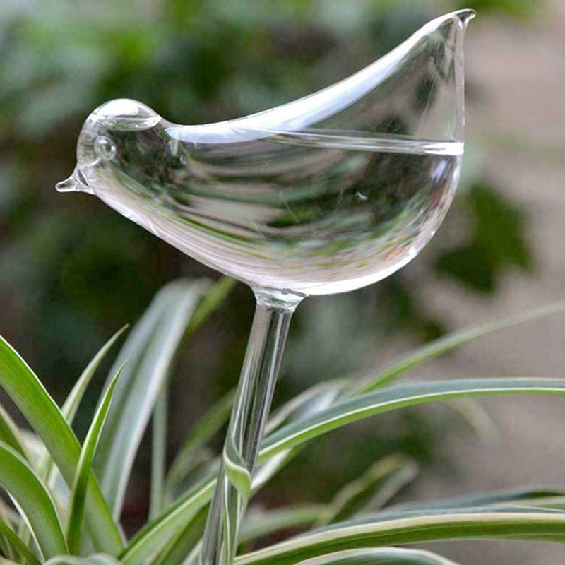 Globos de rega automática para - Plant Watering Globe avaliação e preço