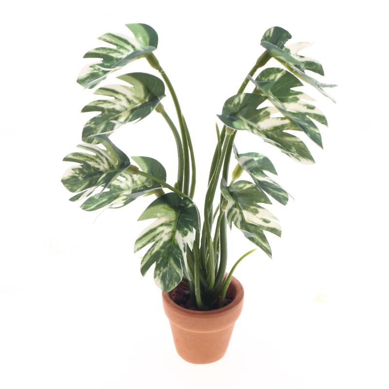 Novo. 1PC Planta Verde Monster - Smart Garden In Home avaliação e preço