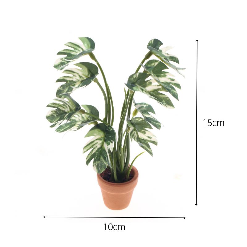 Novo. 1PC Planta Verde Monster - Smart Garden In Home avaliação e preço