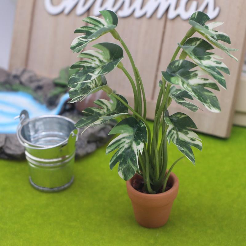 Novo. 1PC Planta Verde Monster - Smart Garden In Home avaliação e preço