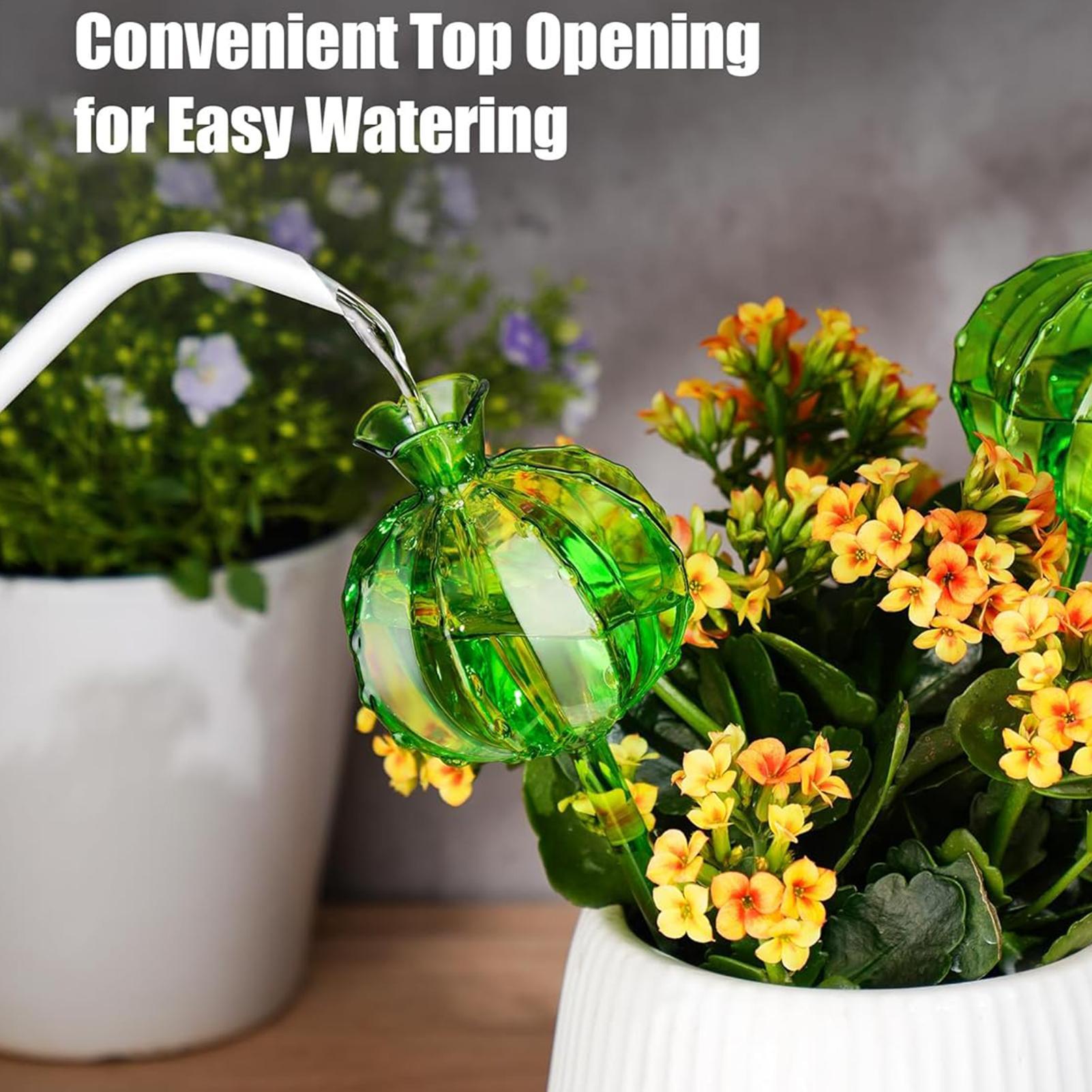Estacas de irrigação automátic - Plant Watering Globe avaliação e preço
